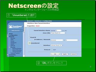 Netscreen